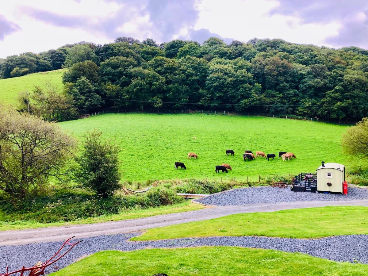 Mid Wales Luxury Huts Деревянный коттедж